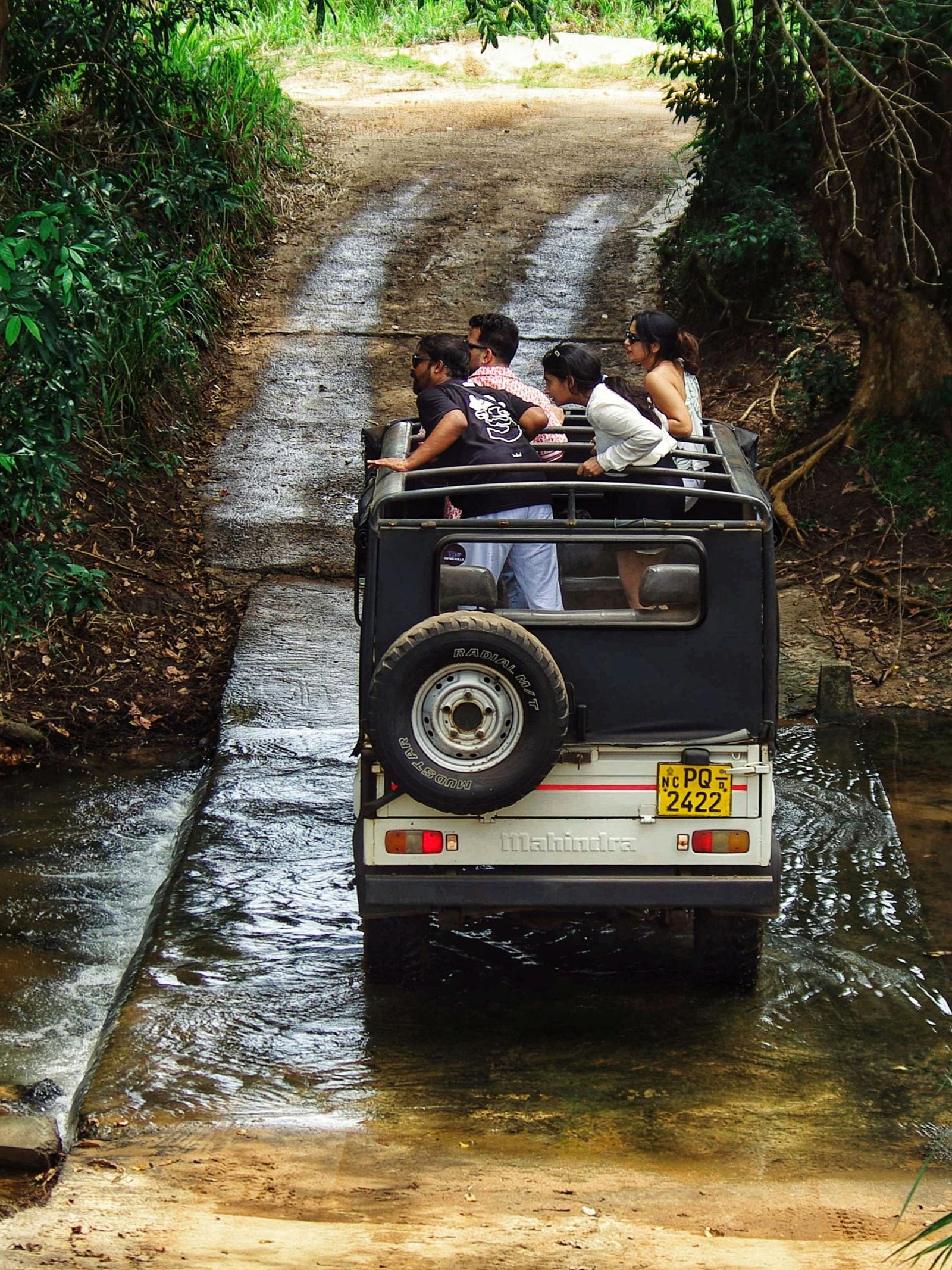Open-top safari jeep driving through forest on a game drive