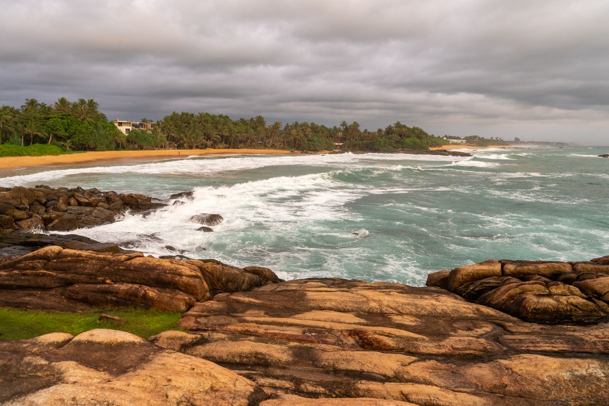 East coast shoreline with palms and surf