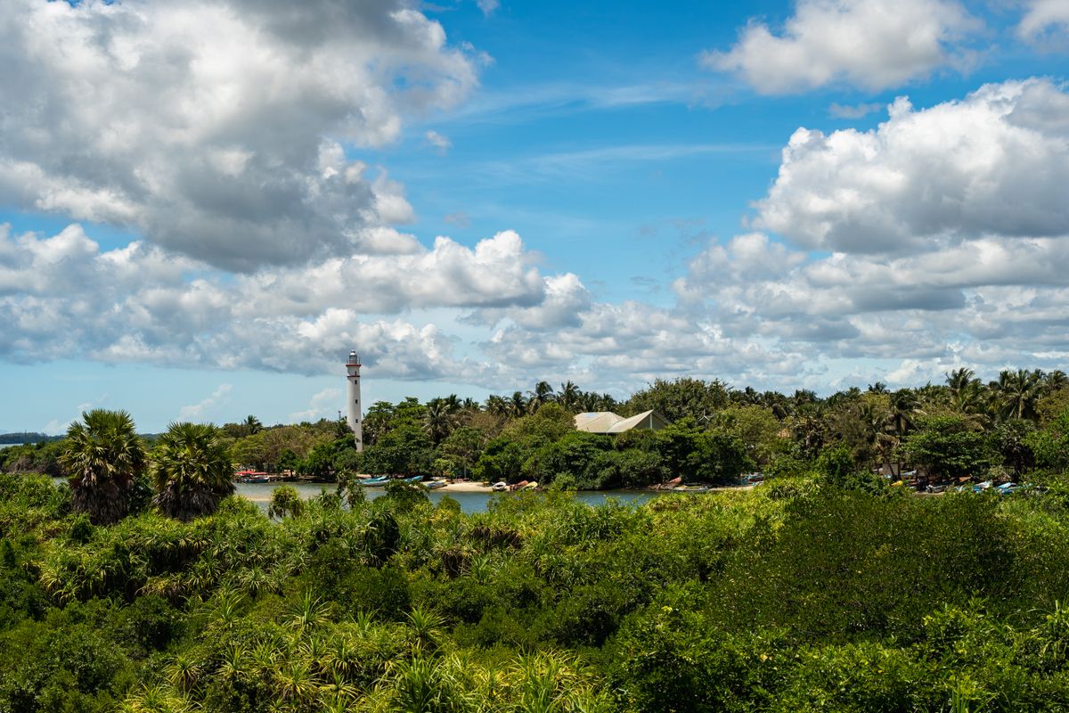 Coastal lagoon landscape