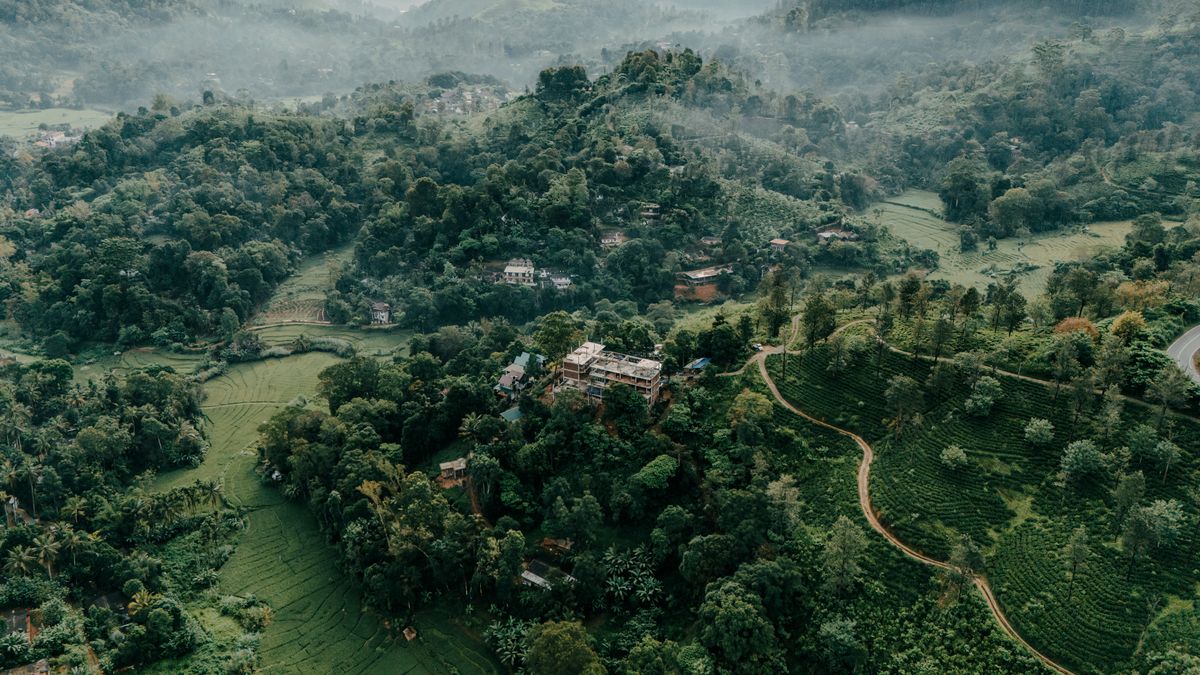 Misty Sri Lankan highland landscape