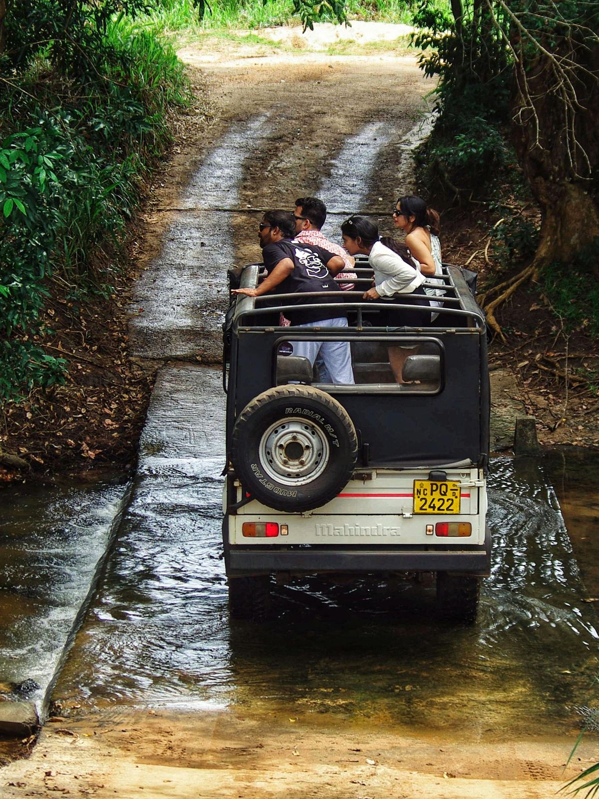 Safari jeep on a forest track